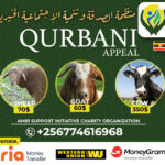 QURUBAN Programs